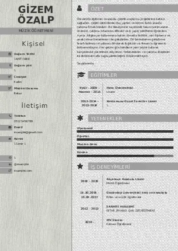 cv indir